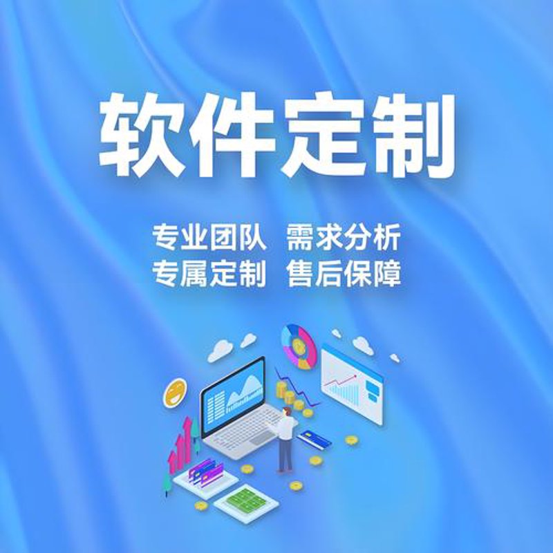 软件定制开发: 企业数字化转型的秘密武器